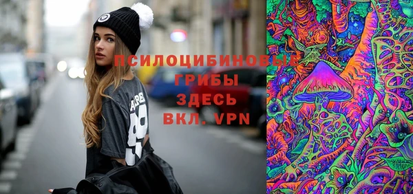 ГАЛЛЮЦИНОГЕННЫЕ ГРИБЫ Абаза