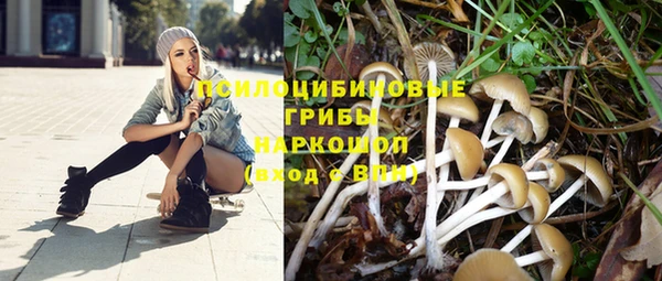 герыч Рославль