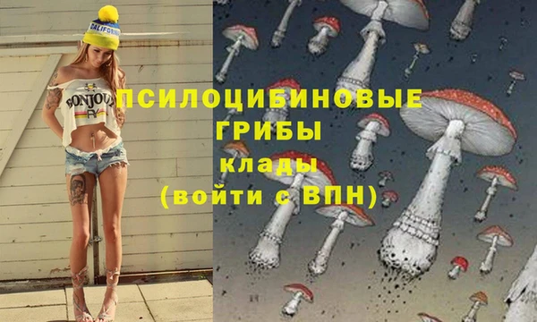 крисы Ростов