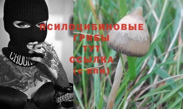 прущие крисы Абдулино