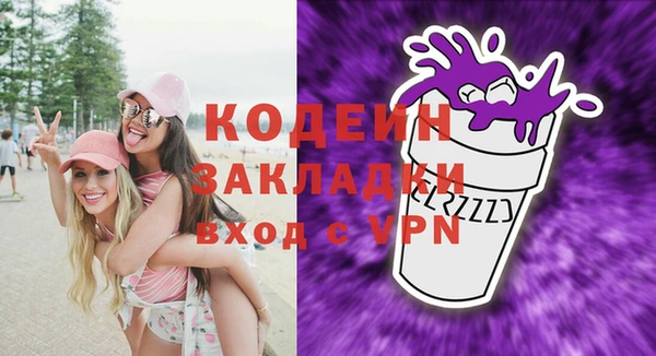 индика Воткинск