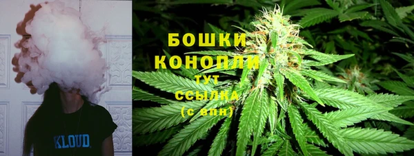 ГАЛЛЮЦИНОГЕННЫЕ ГРИБЫ Абаза