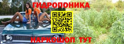 каннабис Сланцы