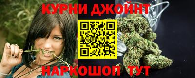 прущие грибы Славгород