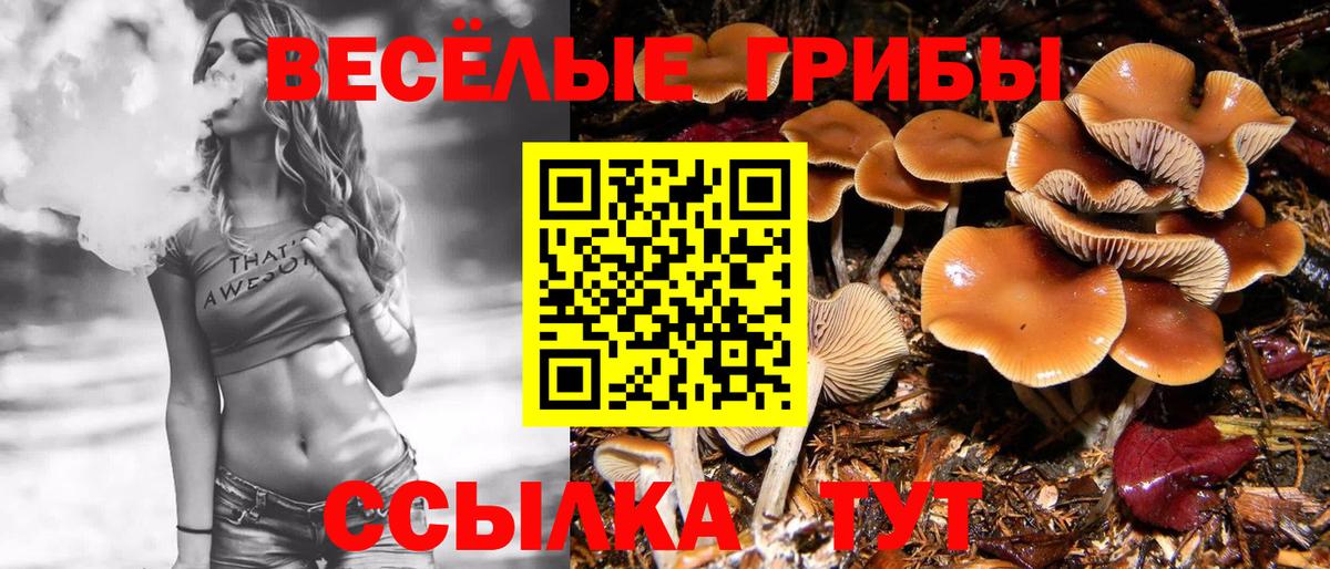 Алапаевск  Псилоцибиновые грибы прущие грибы  Галлюциногенные грибы мицелий  Вход с VPN 